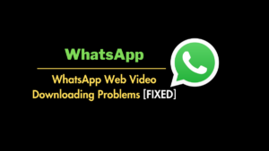 Can’t Download Videos From WhatsApp Web [5 Solutions]